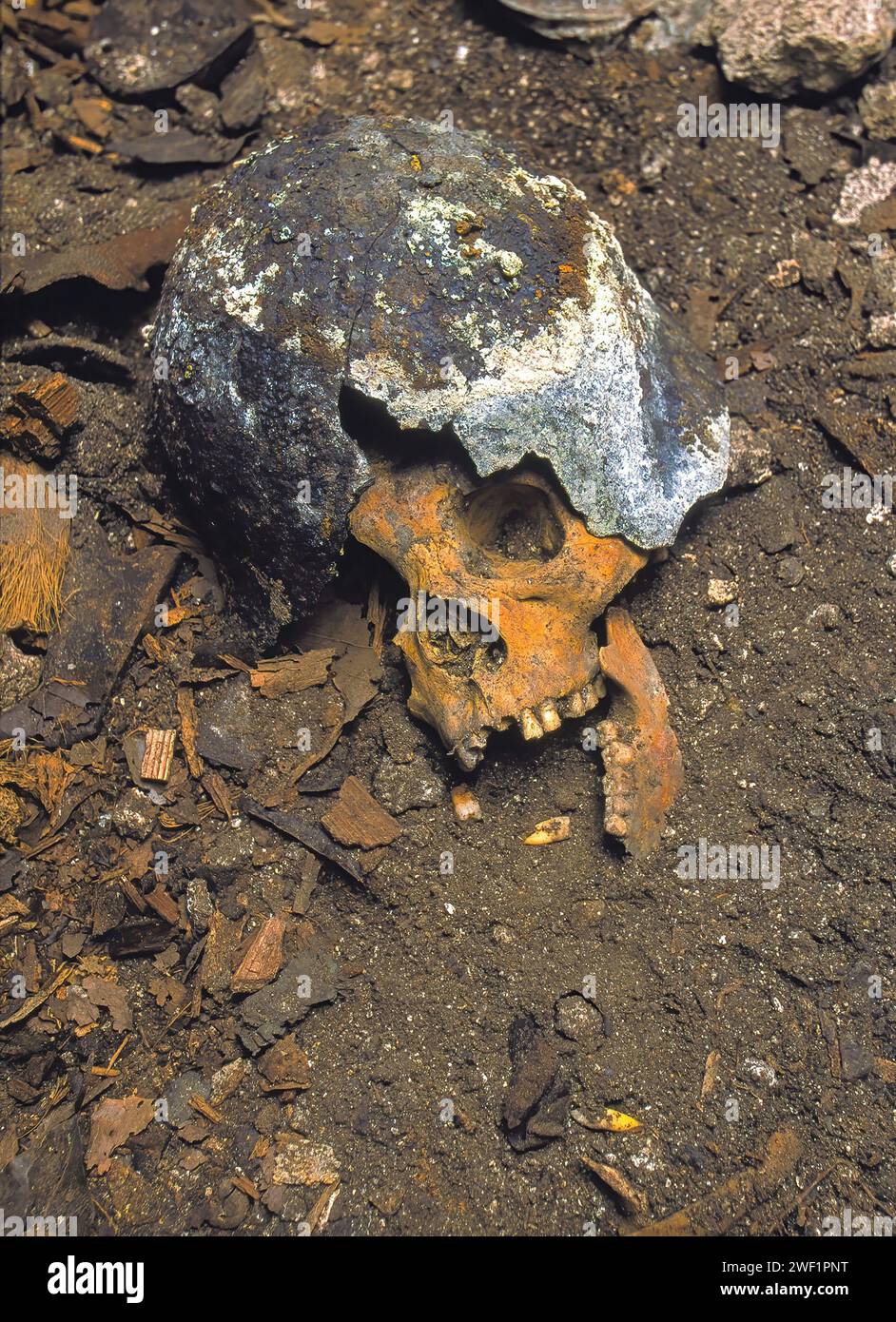 Schädel des japanischen Soldaten aus dem 2. Weltkrieg, der noch Helm trägt, wurde in einer Höhle getötet. Schlacht von Peleliu 1944. Pazifikkrieg. Peleliu. Palau-Inseln Stockfoto