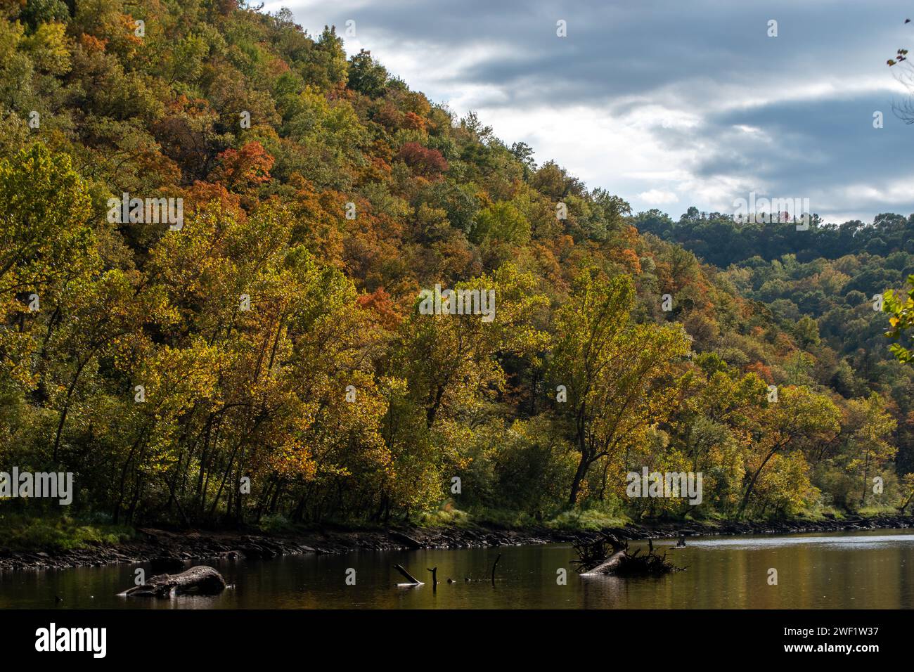 Dicke, üppige Bäume umranden den Fluss und machen eine farbenfrohe Herbstpracht. Bokeh. Stockfoto