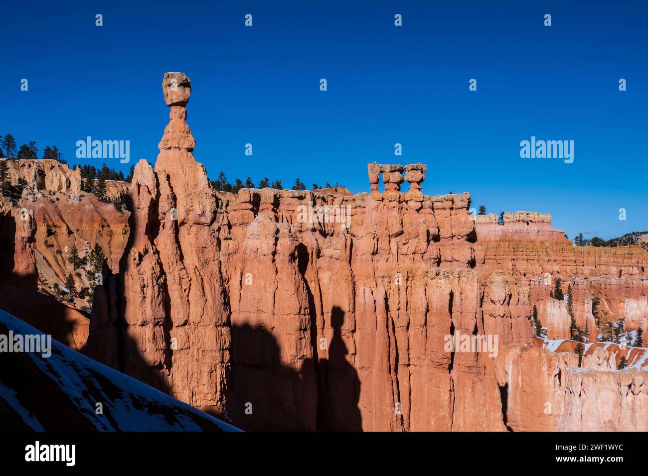 Thor's Hammer vom Navajo Loop Trail, Winter, Bryce Canyon National Park, Utah. Stockfoto