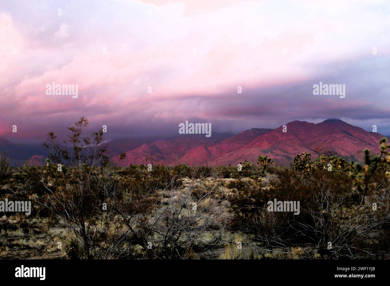 Hualapai Mouniians während eines Sturms, Mohave County Arizona, Wüstengebirge während eines Sturms Stockfoto