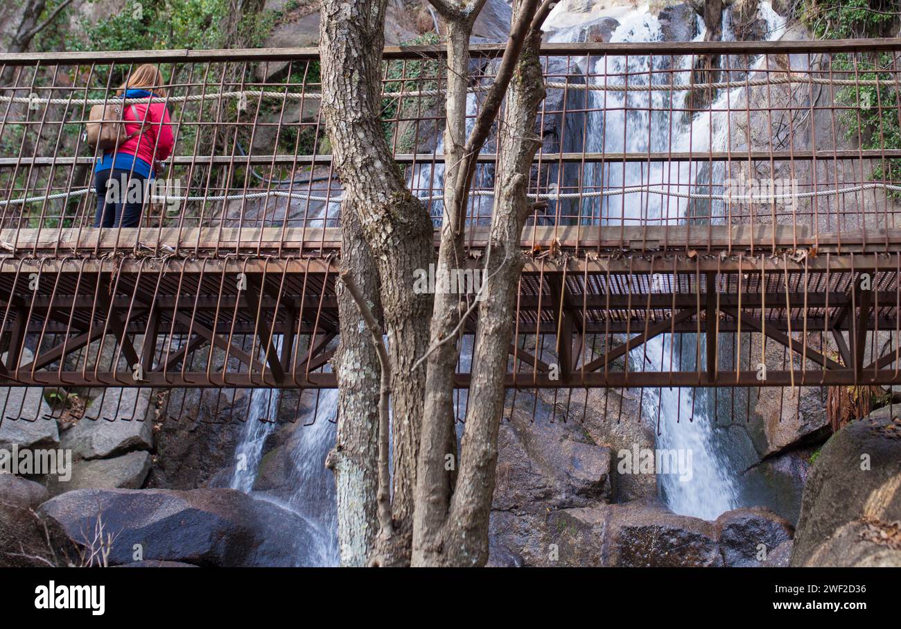 Besucherin beobachtet den Nogaleas-Wasserfall von der Fußgängerbrücke. Jerte Valley, Navaconcejo, Caceres, Spanien Stockfoto