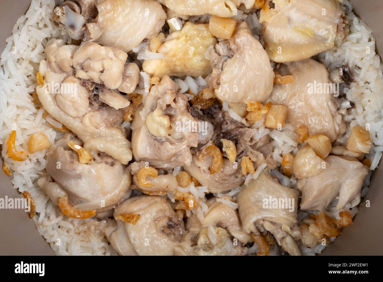 Hühnchen, Jakobsmuscheln und Garnelen gebackener Reis in einem Reiskocher Stockfoto