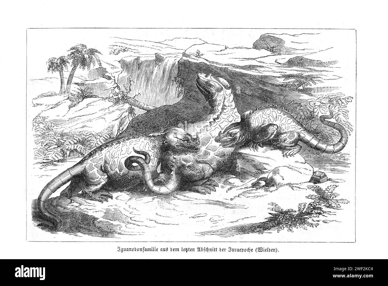 Iguanodon, Dinosaurier, Eidechse, Mutter mit zwei Jungtieren, Tierfamilie in einer wilden, naturhistorischen Landschaft der Kreidezeit (untere Stockfoto