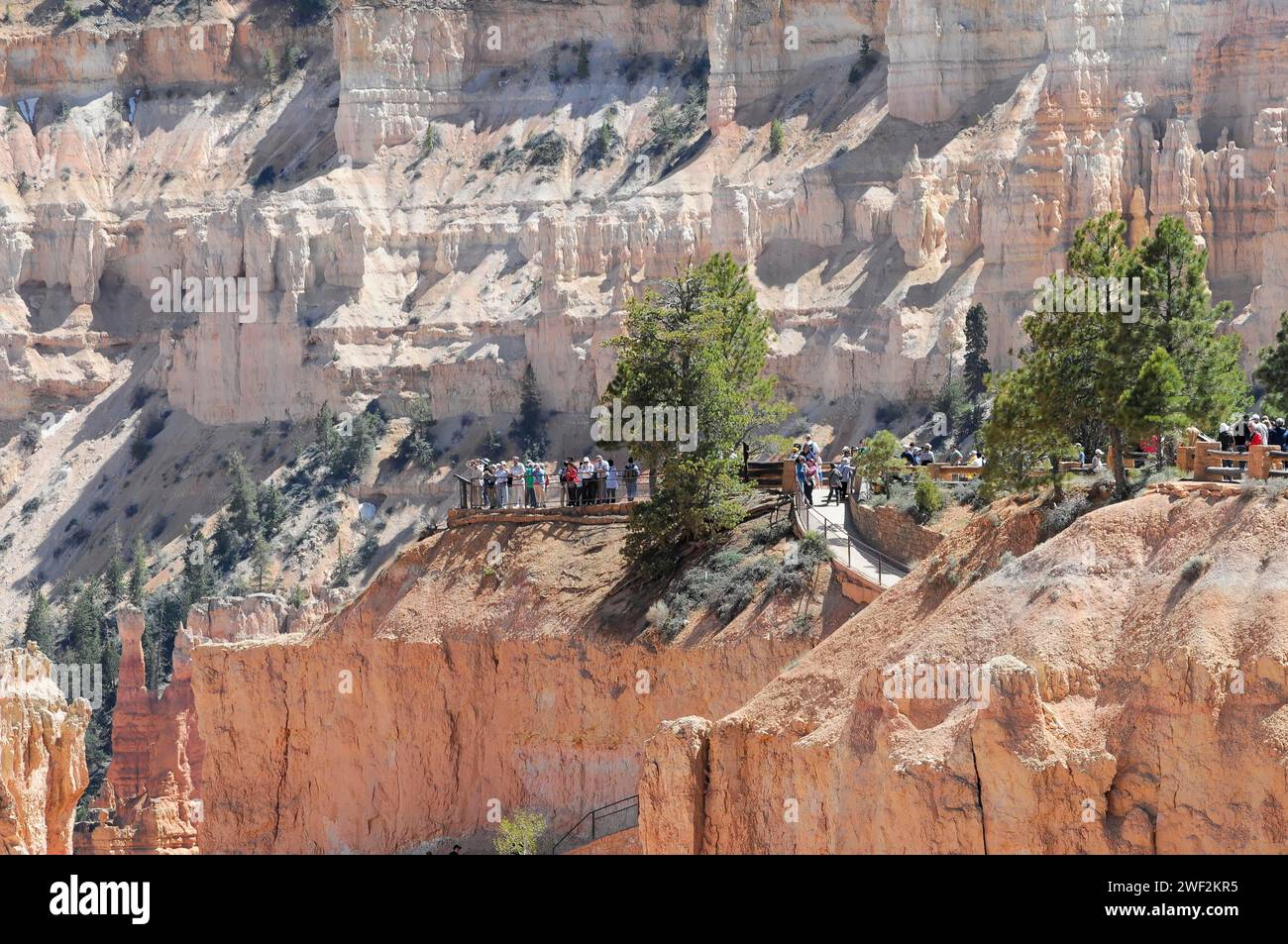 Wanderwege am Rand des Canyons, Bryce Canyon National Park, Utah, USA Stockfoto