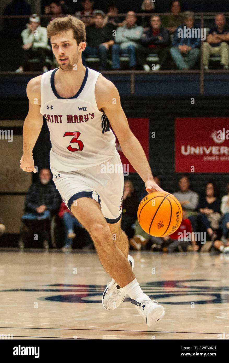 Januar 2024 Moraga CA, USA St. Marias Garde Augustas Marciulionis (3) bringt den Ball während des NCAA Männer Basketballspiels zwischen Loyola Marymount Lions und den Saint Mary's Gaels auf den Platz. Saint Mary's Beat Loyola Marymount 70-65 im University Credit Union Pavilion Moraga Calif Thurman James/CSM Stockfoto