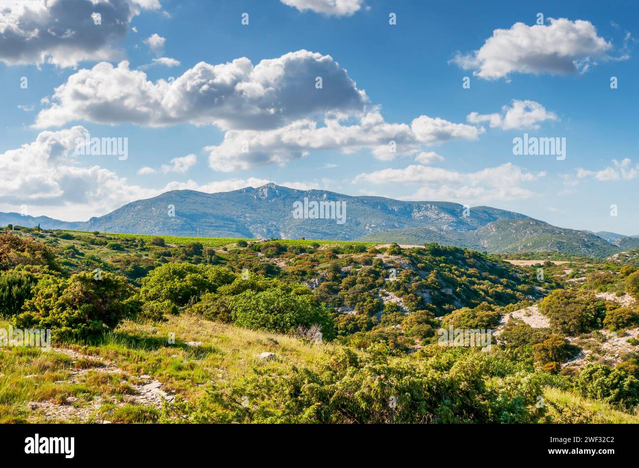 Landschaft, Buschland und Berge von Haut Languedoc, in Herault, Occitanie, Frankreich Stockfoto