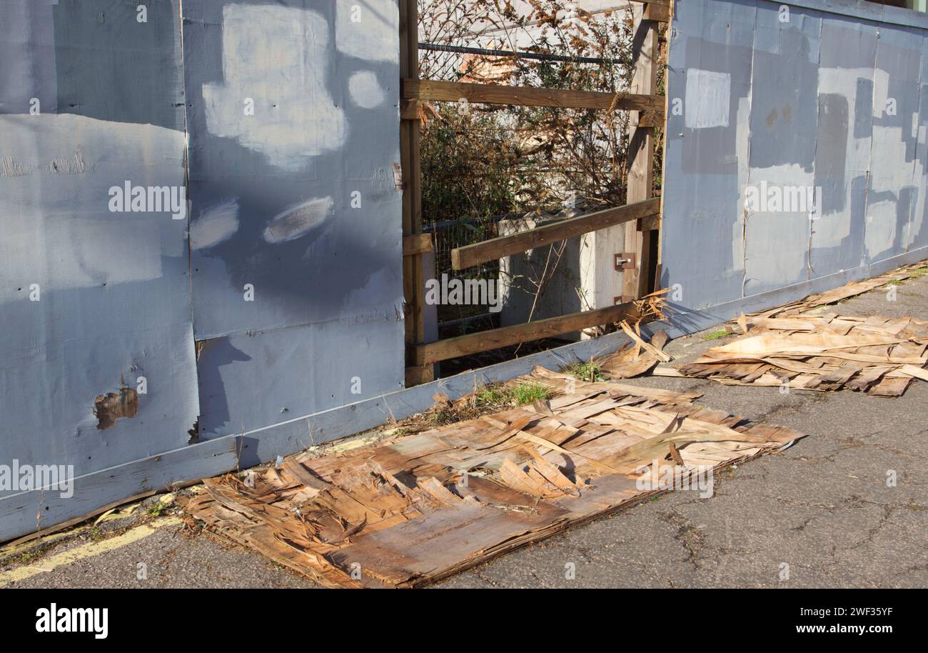 Verfaulte Holzzaunplatte, die auf dem Boden liegt und eine Lücke im Zaun hinterlässt. Stockfoto