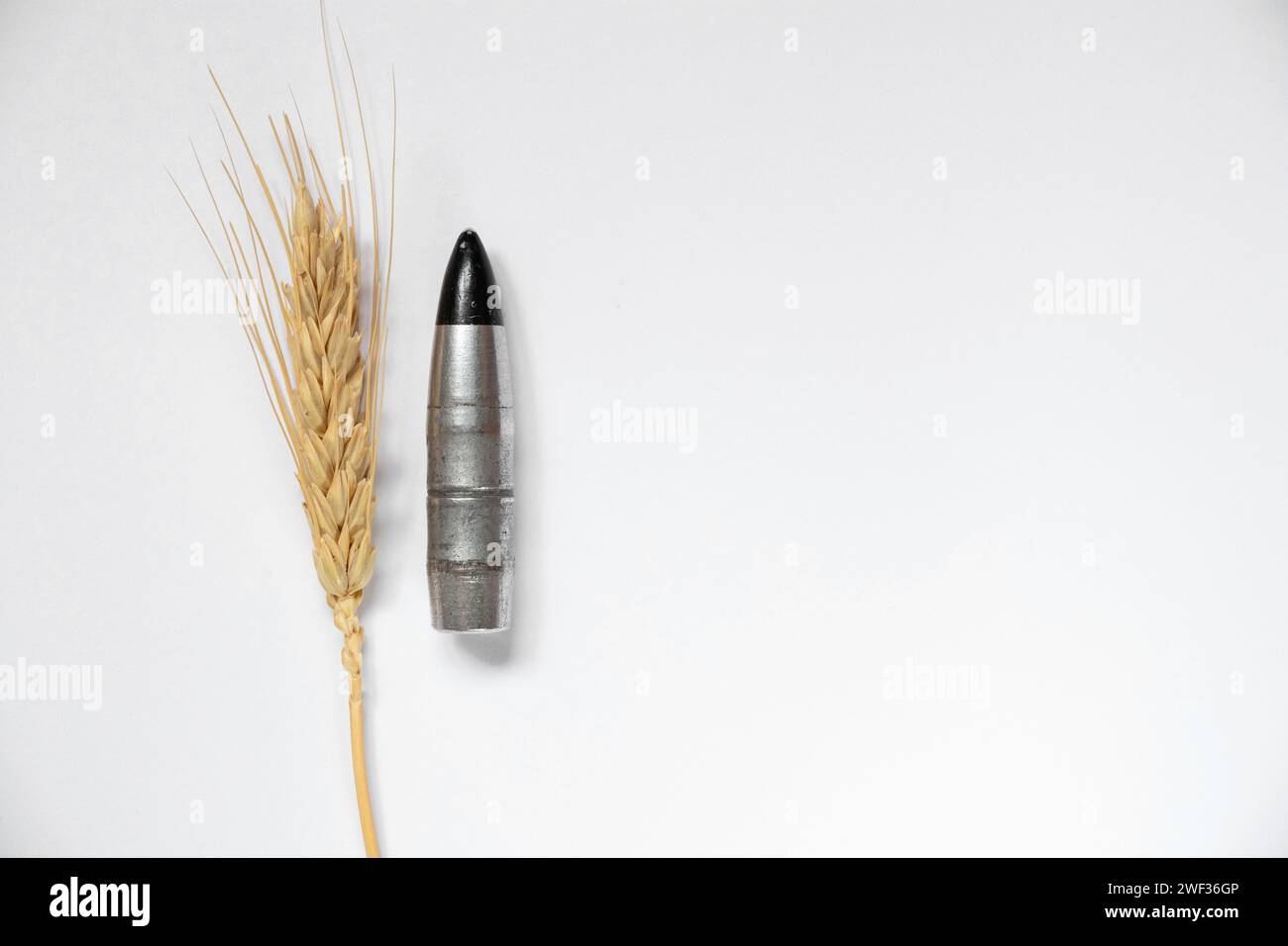 Panzerpiercing Kugel und ein Weizenstachel auf weißem Hintergrund Nahaufnahme, Waffen und Patronen Stockfoto