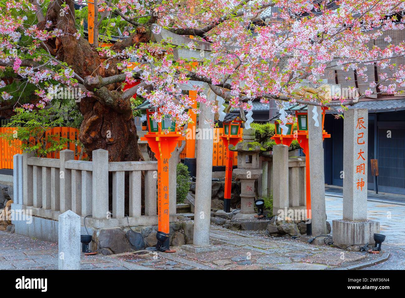 Kyoto, Japan - 6. April 2023: Tatsumi Daimyojin-Schrein in der Nähe der Tatsumu-Bashi-Brücke im Stadtteil Gion Stockfoto