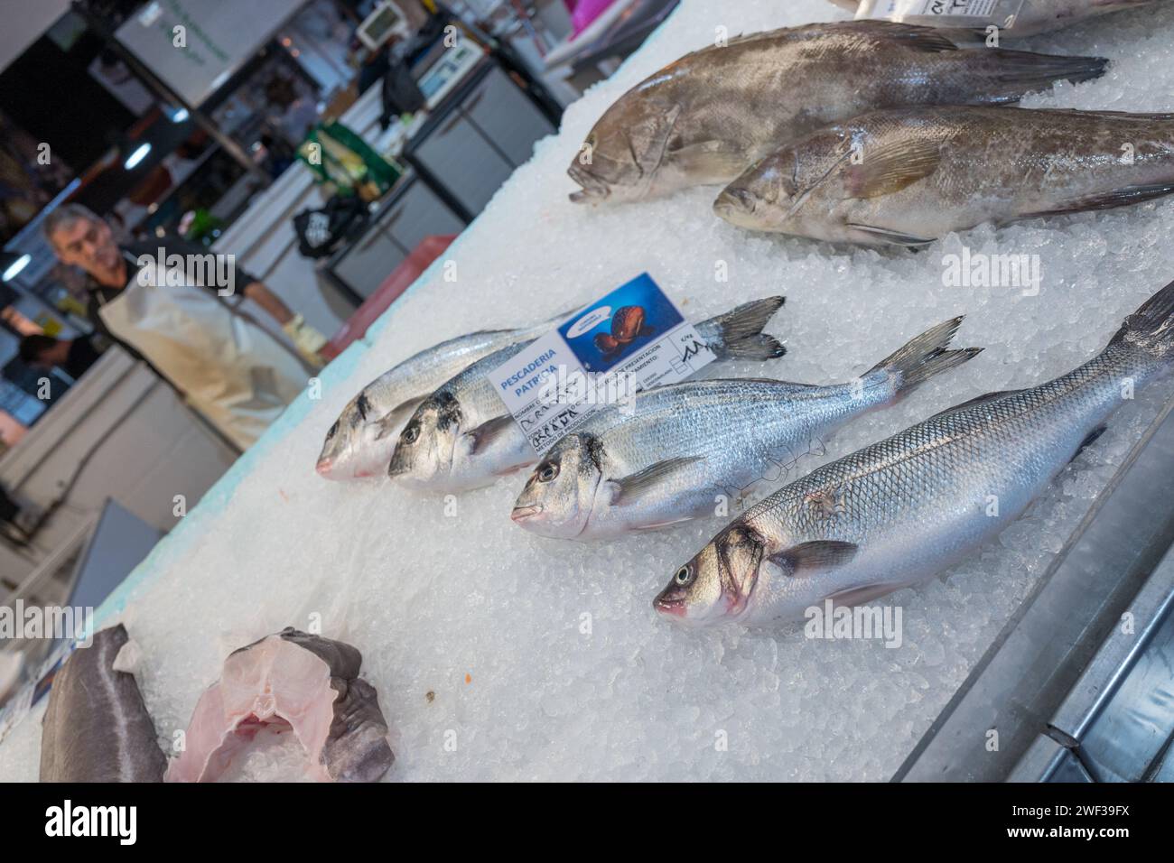 Frischer Fisch auf dem Markt von Los Christianos auf der Kanarischen Insel Teneriffa. Stockfoto