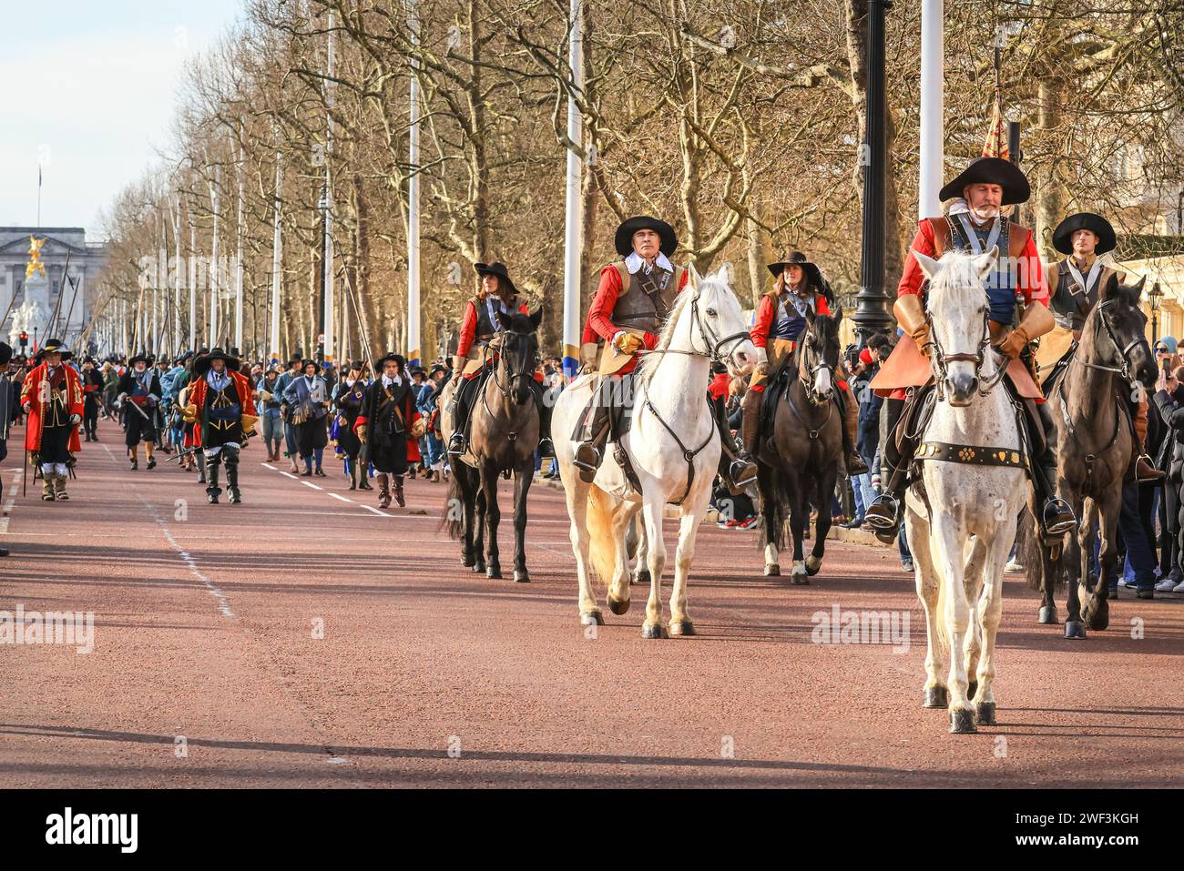 London, Großbritannien. Januar 2024. Die Prozession auf der Mall. Jedes Jahr marschieren die Freiwilligen der englischen Bürgerkriegsgesellschaft mit der Kings Army entlang der Mall in London und zur Horse Guards Parade, zum Gedenken an Karl I., der am 30. Januar 1649 zum Märtyrer wurde. Jedes Regiment in der Nachstellung besteht aus Offizieren, Musketen, gefolgt von der Farbe, Trommlern, Pikeniern und Gepäck (Frauen und Kinder). Quelle: Imageplotter/Alamy Live News Stockfoto