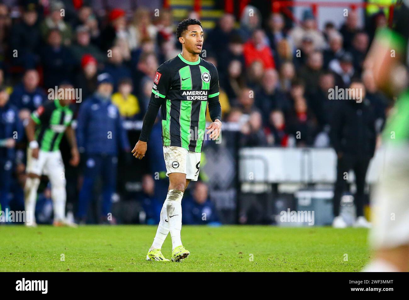 Bramall Lane, Sheffield, England - 27. Januar 2024 Joao Pedro (9) aus Brighton & Hove Albion - während des Spiels Sheffield United gegen Brighton, Emirates FA Cup, 2023/24, Bramall Lane, Sheffield, England - 27. Januar 2024 Credit: Arthur Haigh/WhiteRosePhotos/Alamy Live News Stockfoto