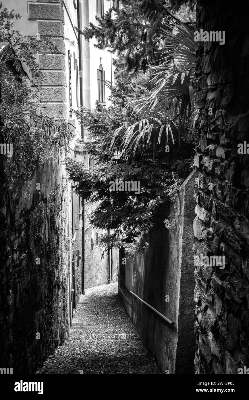 Eine romantische Gasse in Varenna am Comer See, Italien Stockfoto