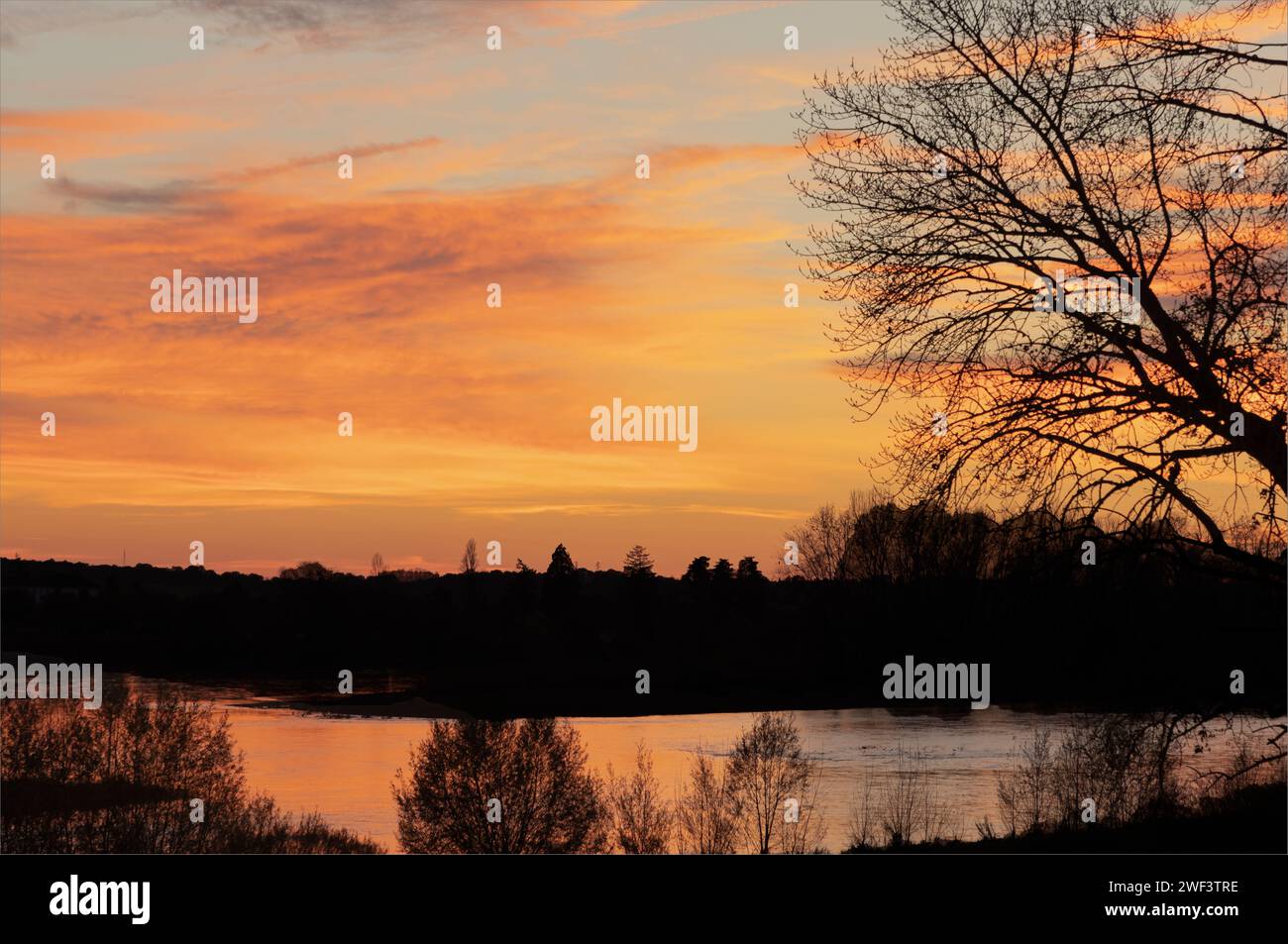 Orangefarbener und goldener Himmel über der Loire mit einem Silhouettenbaum Stockfoto