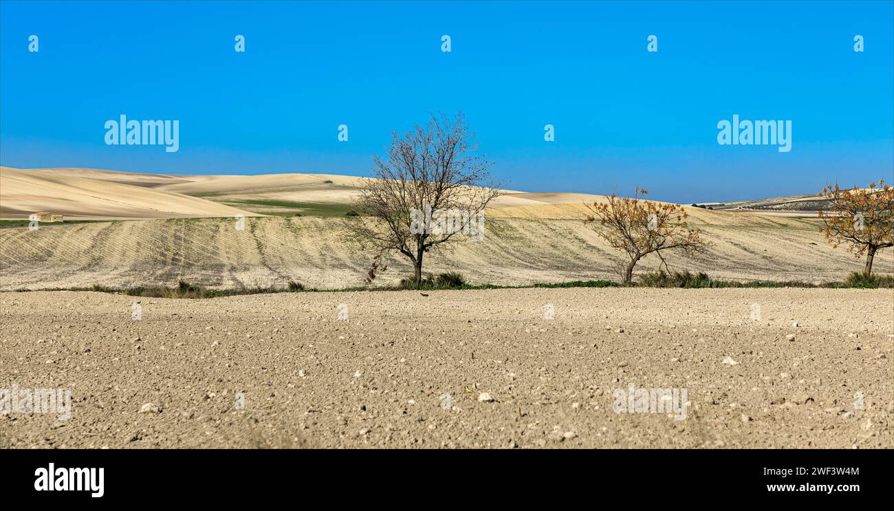 Die einzigartige Topographie der Landschaft in und um Jerez la Frontera, Heimat der spanischen Sherry-Produktion Stockfoto