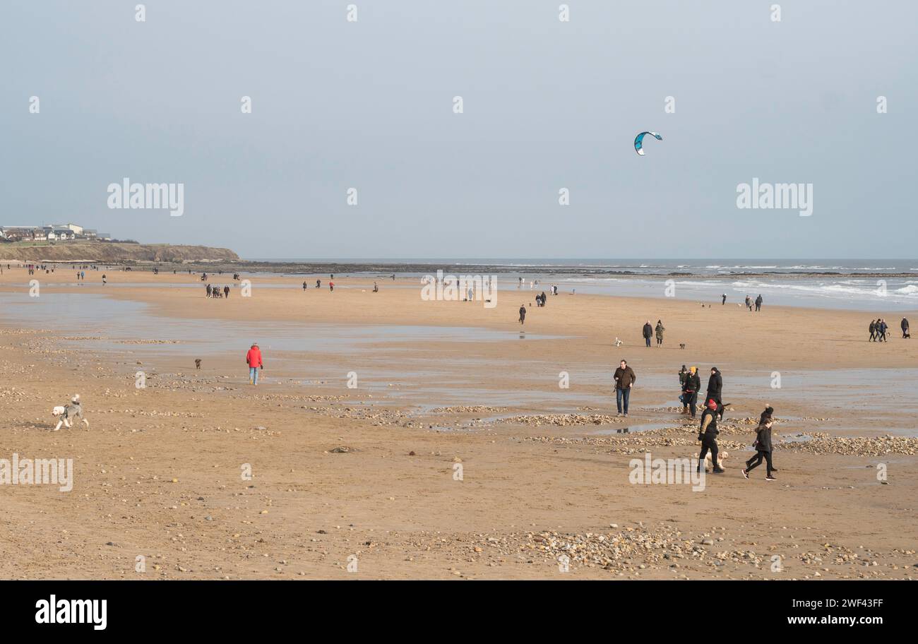 Seaburn England Großbritannien 28. Januar 2024 UK Wetter Menschen gehen mit Hunden am Seaburn Beach, genießen Wintersonne, Sunderland Nordostengland Stockfoto