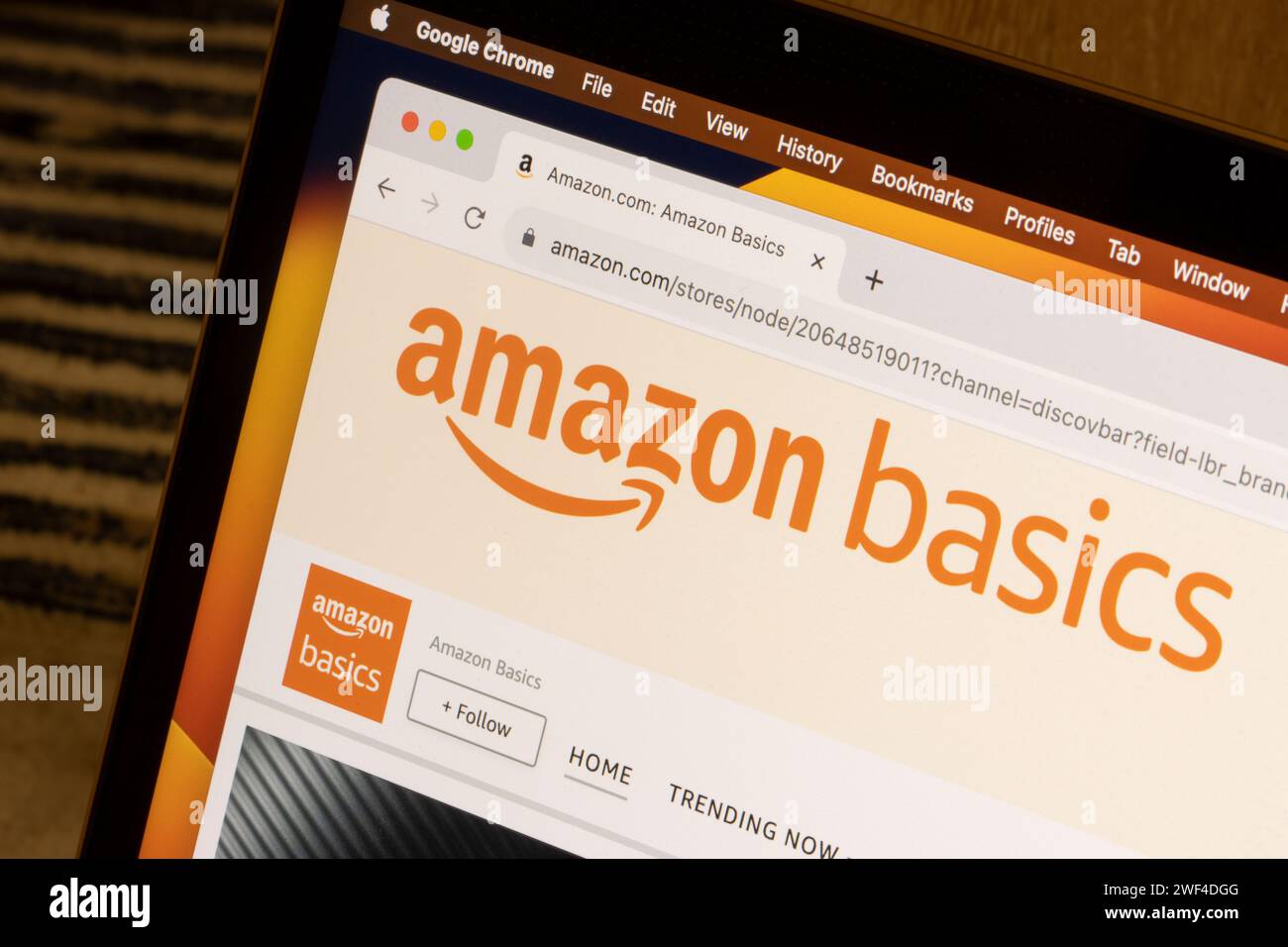 Die Webseite von Amazon Basics wird auf einem Computer angezeigt. Amazon Basics ist eine Eigenmarke von Amazon, die in erster Linie eine große Auswahl an erschwinglichen und ...-Produkten anbietet Stockfoto