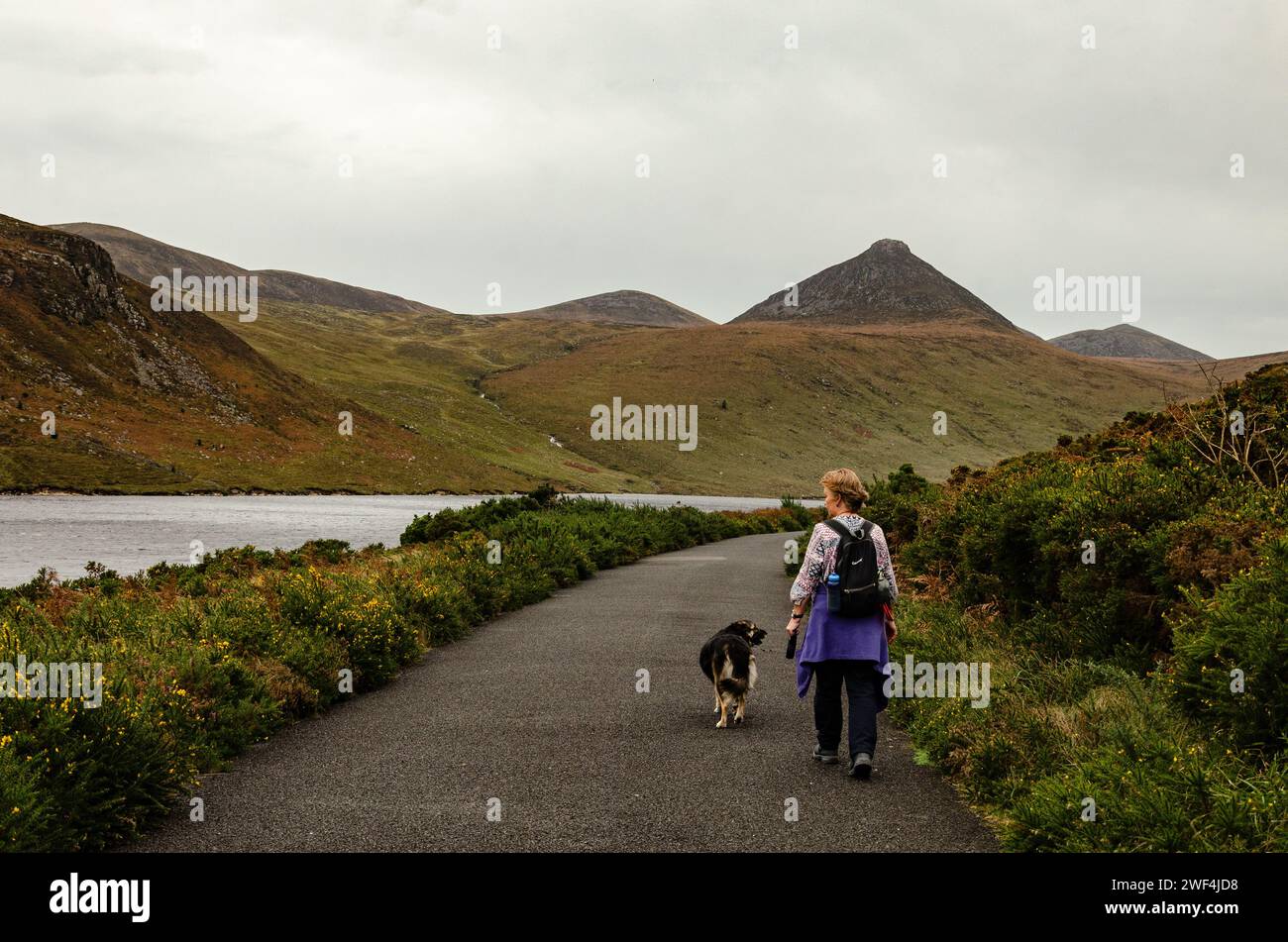 Eine Frau, die ihren Hund in der Nähe des Stausees in den Mourne Mountains begleitet, um sich zu entspannen und zu trainieren Stockfoto