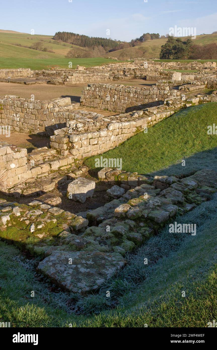 Ausgrabungen an Mauern und Gebäuden im römischen Hilfsfort Vindolanda an der Hadrians Wall, Großbritannien Stockfoto