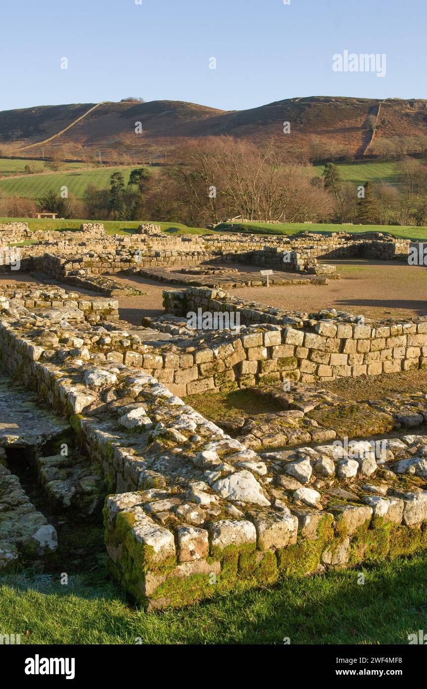 Ausgrabungen an Mauern und Gebäuden im römischen Hilfsfort Vindolanda an der Hadrians Wall, Großbritannien Stockfoto