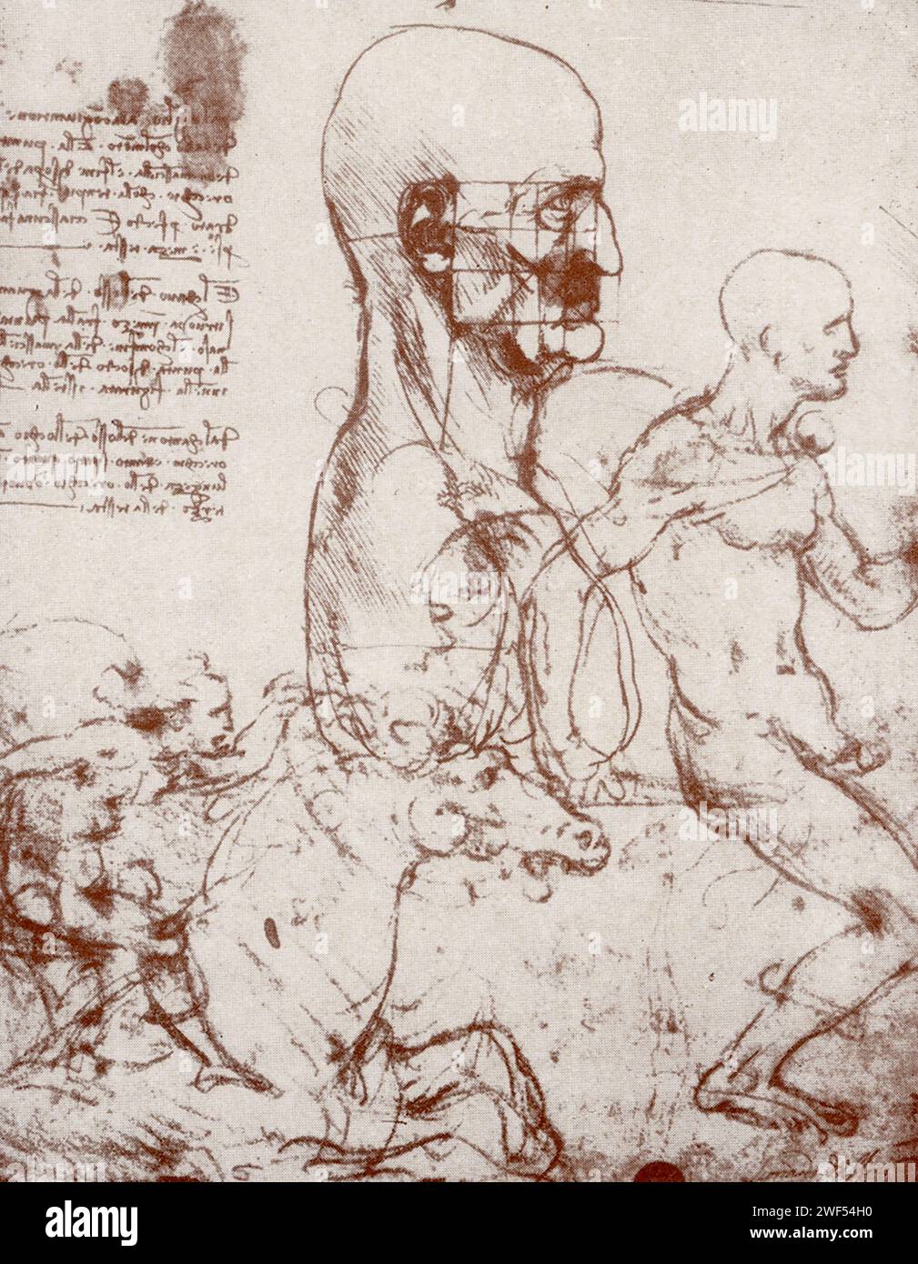Hier sehen Sie Schnitzel von Leonardo da Vinci. Leonardo di ser Piero da Vinci (1452–1519) war ein italienischer Polymath der Hochrenaissance, der als Maler, Zeichner, Ingenieur, Wissenschaftler, Theoretiker, Bildhauer und Architekt. Stockfoto