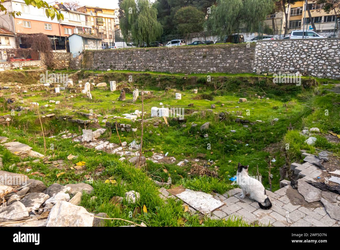 Eine Katze sitzt an einem der archäologischen Stätten der Stadt Altınpark in İzmir Stockfoto