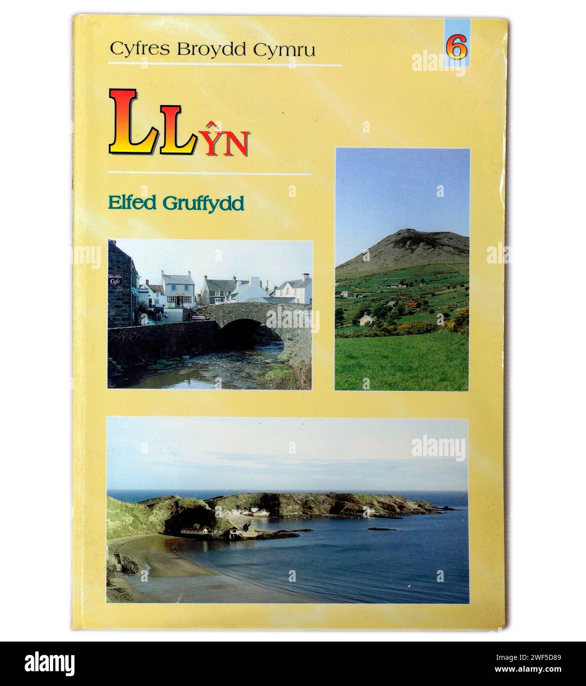 Llyn von Elfed Gruffydd. Weksh Sprachbuch - auf Walisisch. Bucheinband auf hellem/weißem Hintergrund Stockfoto