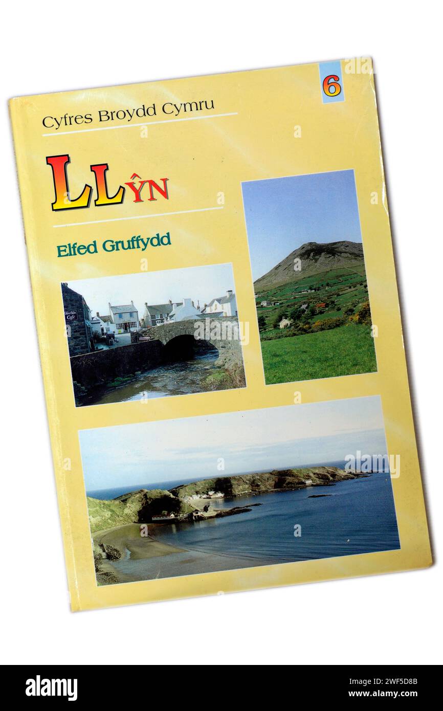 Llyn von Elfed Gruffydd. Weksh Sprachbuch - auf Walisisch. Bucheinband auf hellem/weißem Hintergrund Stockfoto