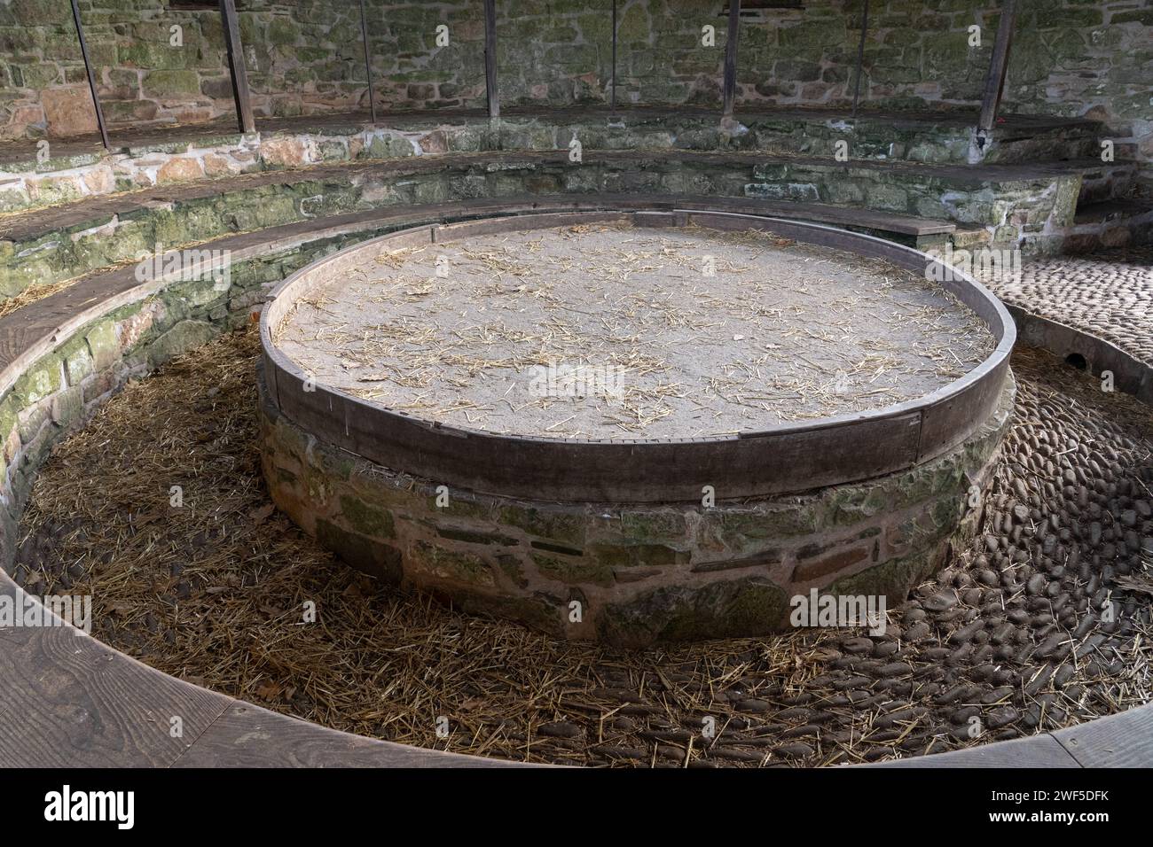 Das Denbigh Cockpit, rekonstruiert auf dem Gelände des St Fagans National Museum, Cardiff Stockfoto