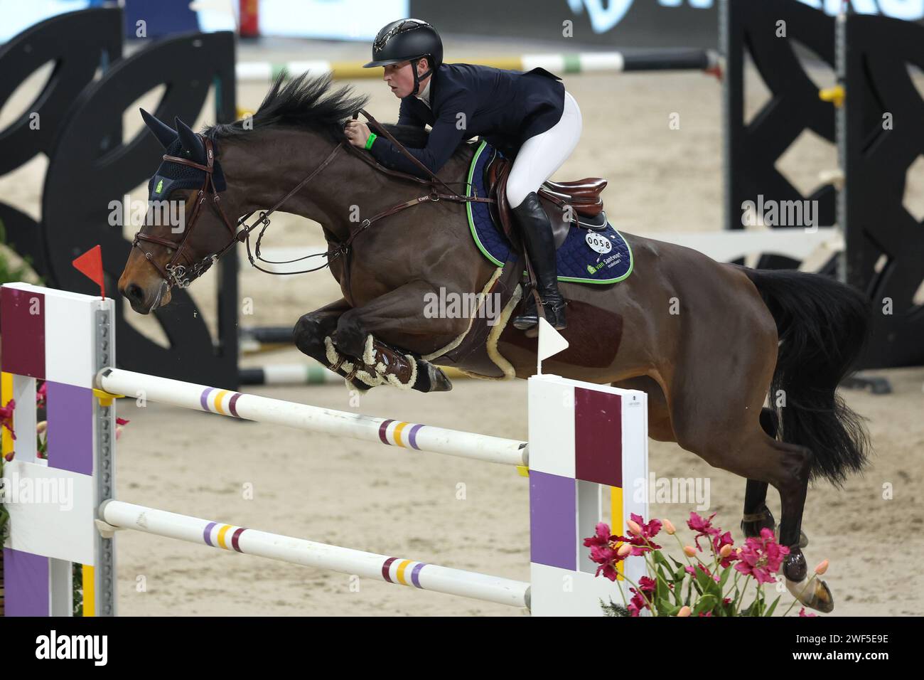 Amsterdam, Niederlande. Januar 2024. AMSTERDAM, NIEDERLANDE - 28. JANUAR: Sanne Thijssen (NED) Tippy Z beim Springen Amsterdam 2024 Harry Wouters van den Oudenweijer Trophy in der Amsterdam RAI. Foto von Gerard Spaans/Orange-Pictures) Credit: Orange Pics BV/Alamy Live News Stockfoto