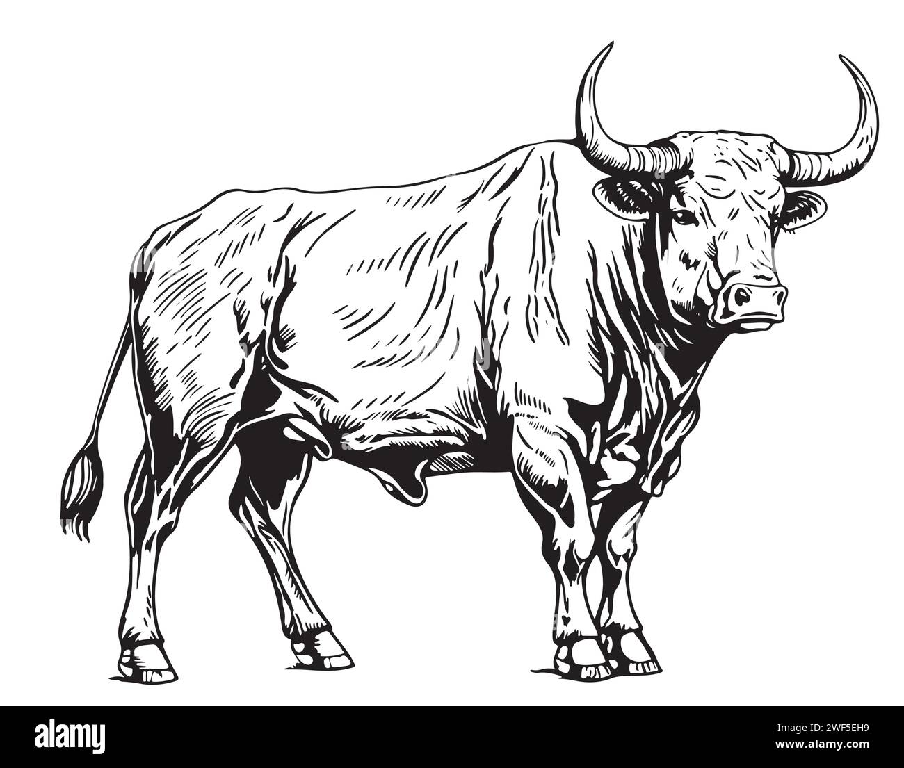 Kuh steht Skizze Gravur Illustrationsstil Hand gezeichneter Vektor Stock Vektor