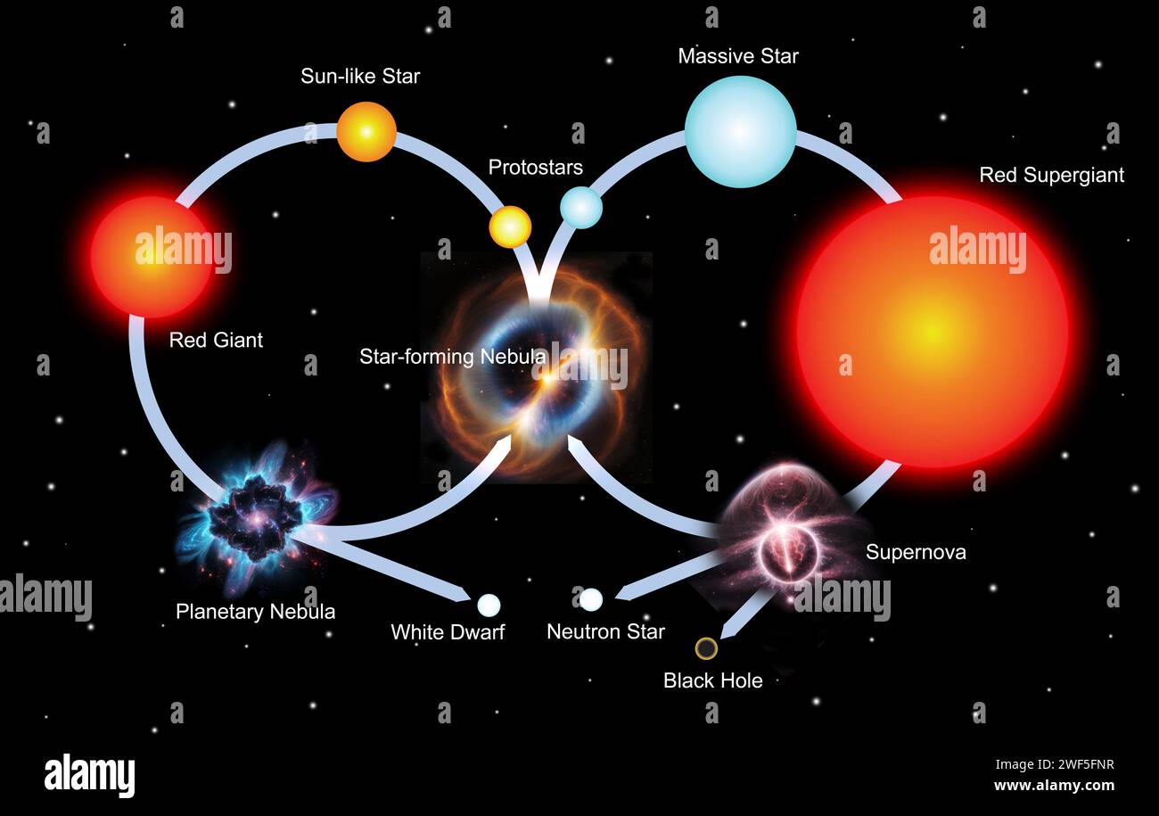 Diagramm des Lebenszyklus von Sternen Stockfoto