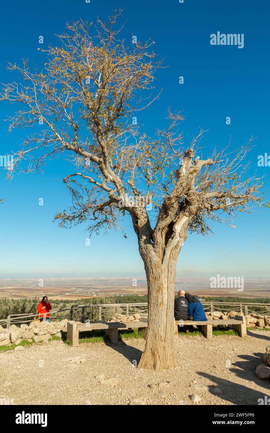 Touristen am Maulbeerbaum, „der Wunschbaum“ Gobeklitepe, Gobekli tepe Türkei Stockfoto
