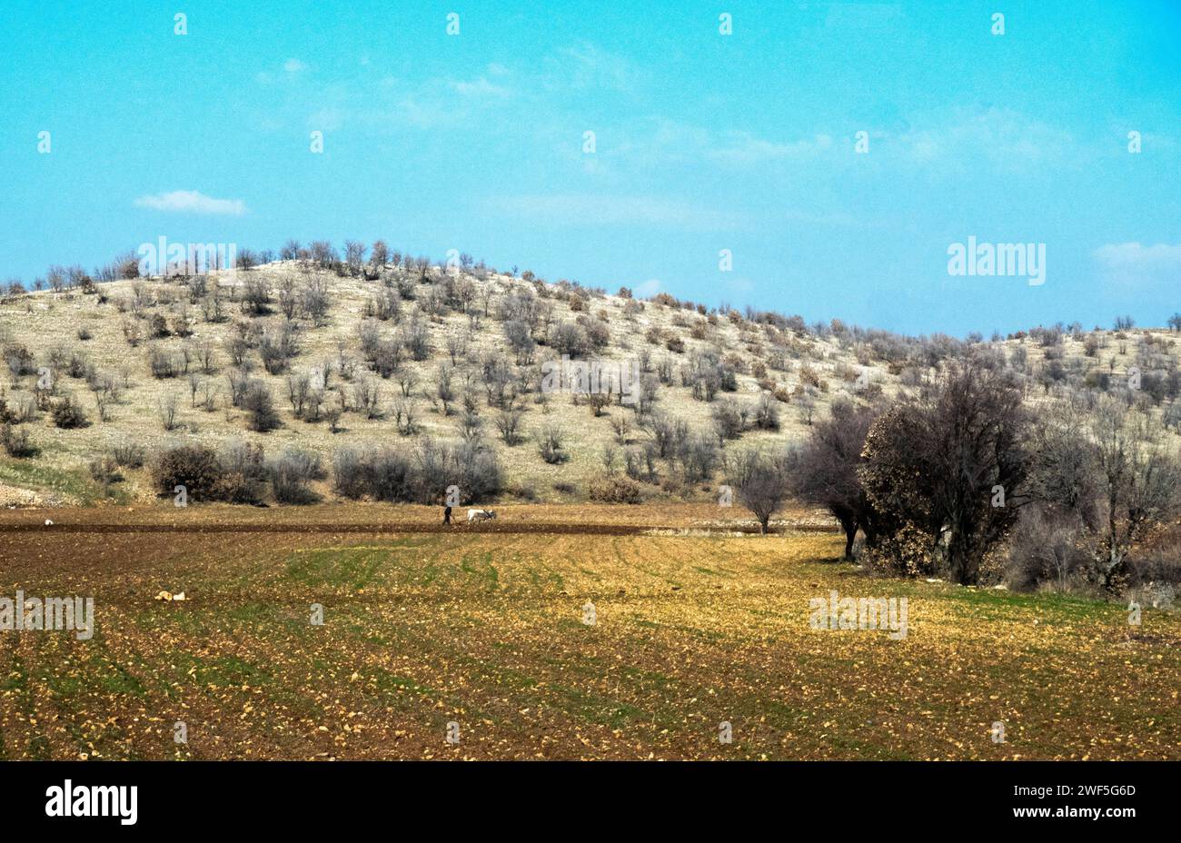 Bauern pflügen auf Feldern in der Provinz Mardin, die für die Landwirtschaft im Südosten der türkei genutzt werden Stockfoto