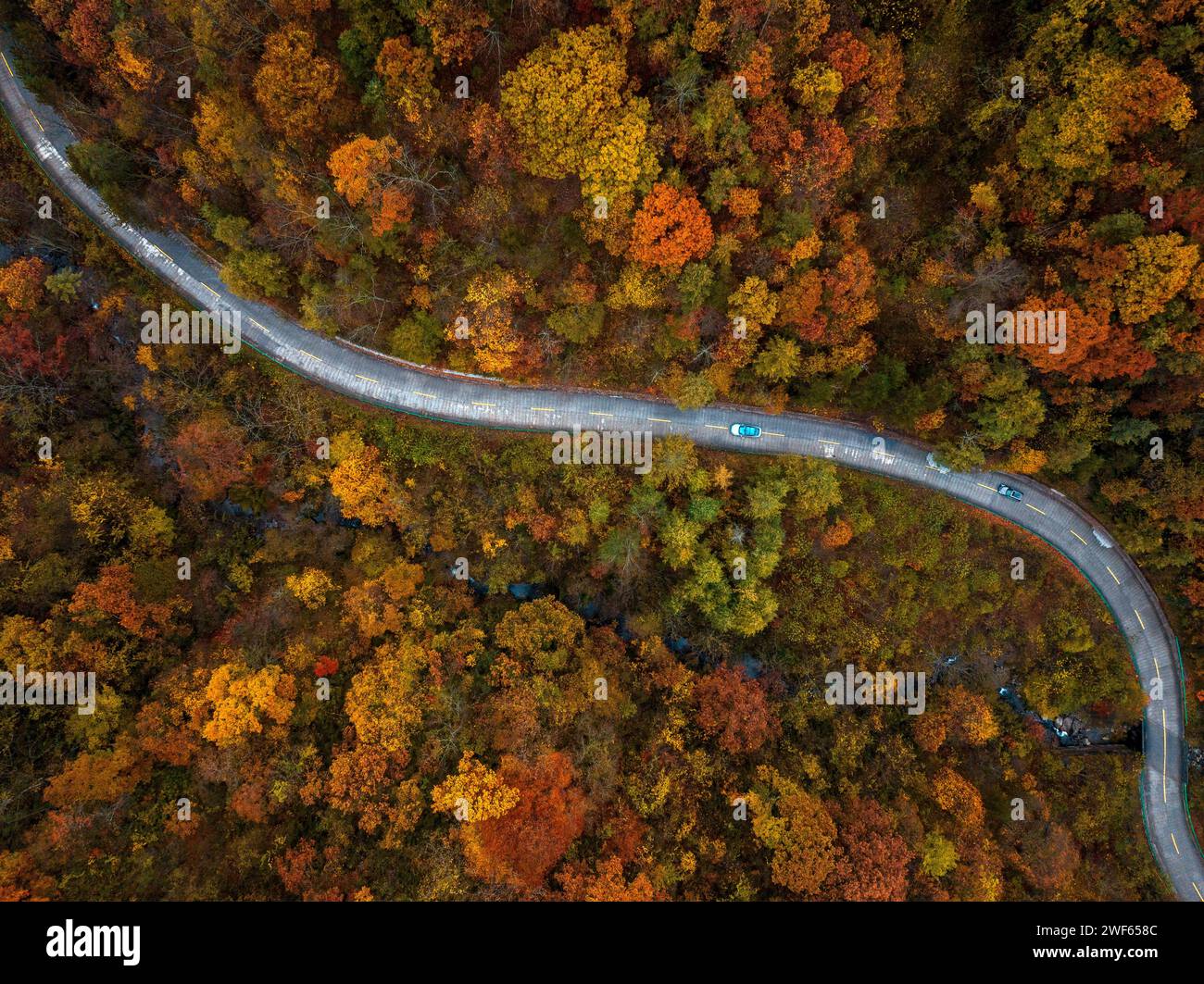 Goldene Herbstlandschaft der Qinling Berge in Shaanxi Stockfoto
