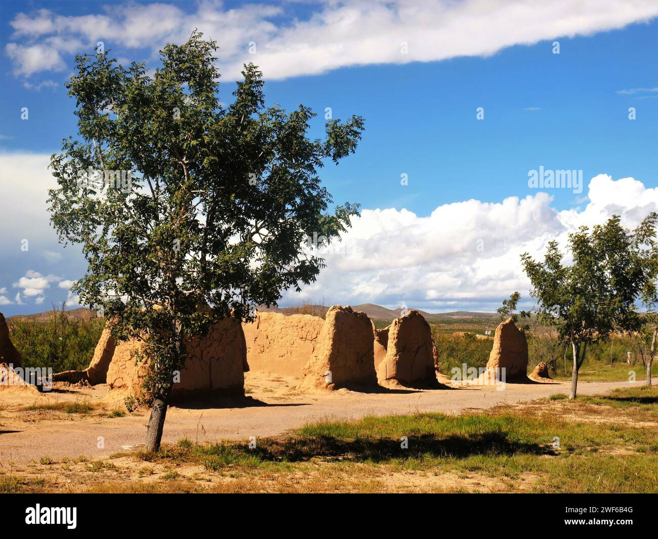 Bäume und lehmziegelruinen in Fort Selden, New Mexico Stockfoto