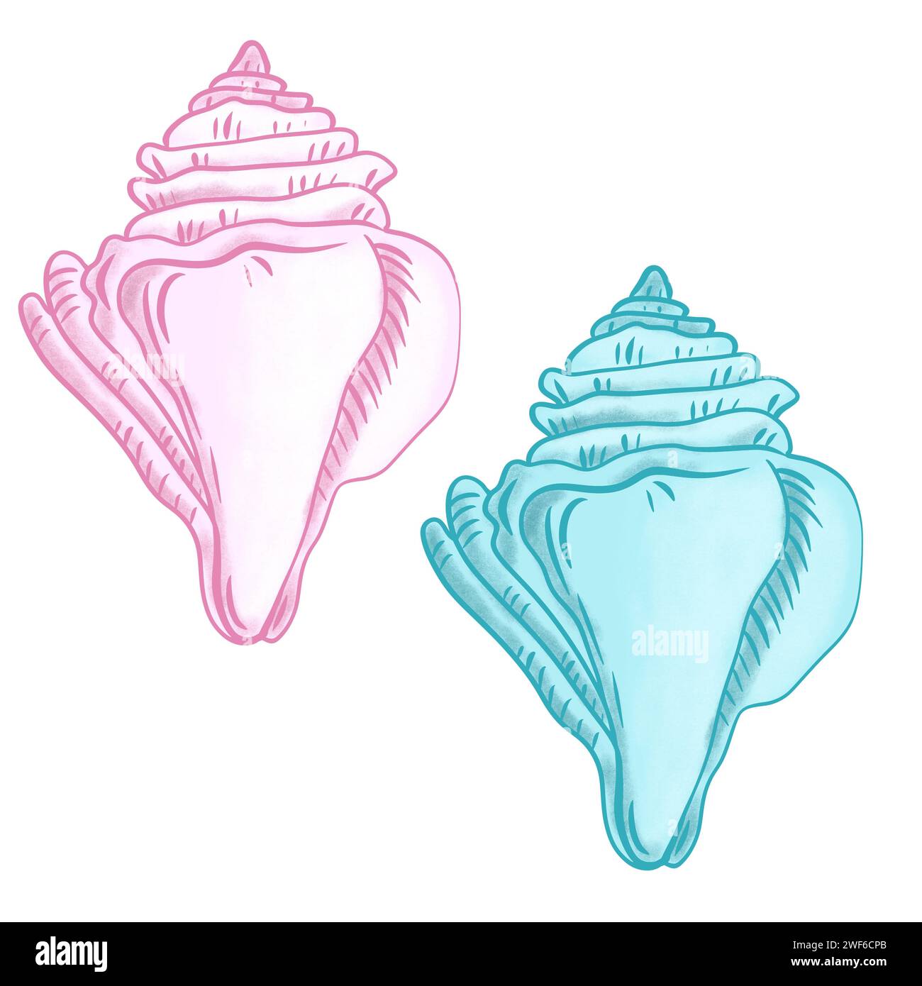 Handgezeichnete Illustration von Muscheln, Muschelmuscheln in blau türkisvioletten Farben, Meeresmeer-Unterwassertiere. Nautische Sommerstrandgestaltung, Korallenriffleben Natur Stockfoto