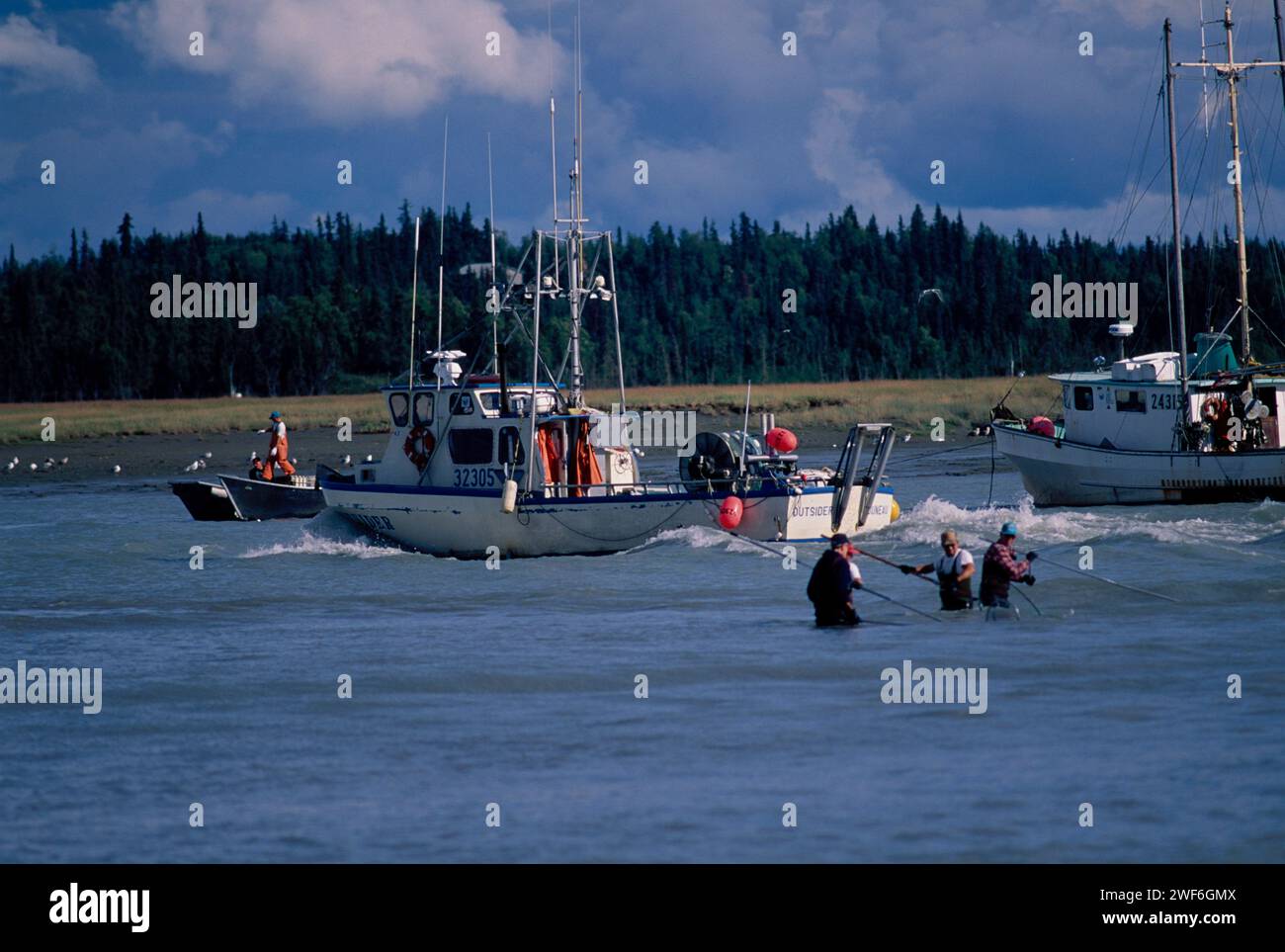 Sportfischer tauchen im Kasiloff River, Kenai Fjords National Park, südzentral in AK, nach Sockeye Lachs, Oncorhynchus nerka oder Rotem Lachs Stockfoto