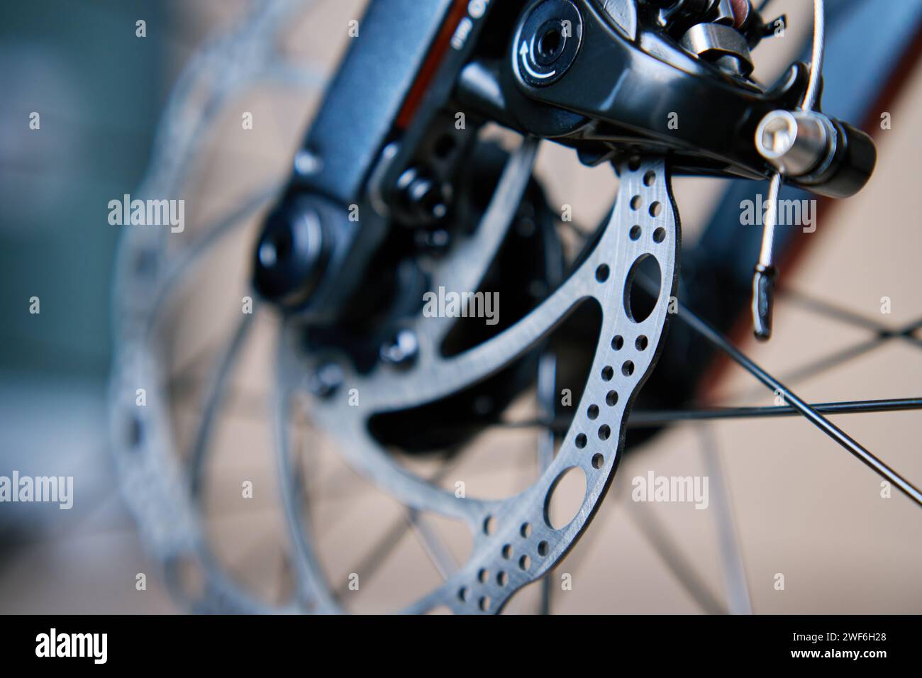 Teil des Bremssystems des Fahrrads. Graue Metallbremsscheibe und Bremsbeläge am Rennrad, Nahaufnahme. Stockfoto