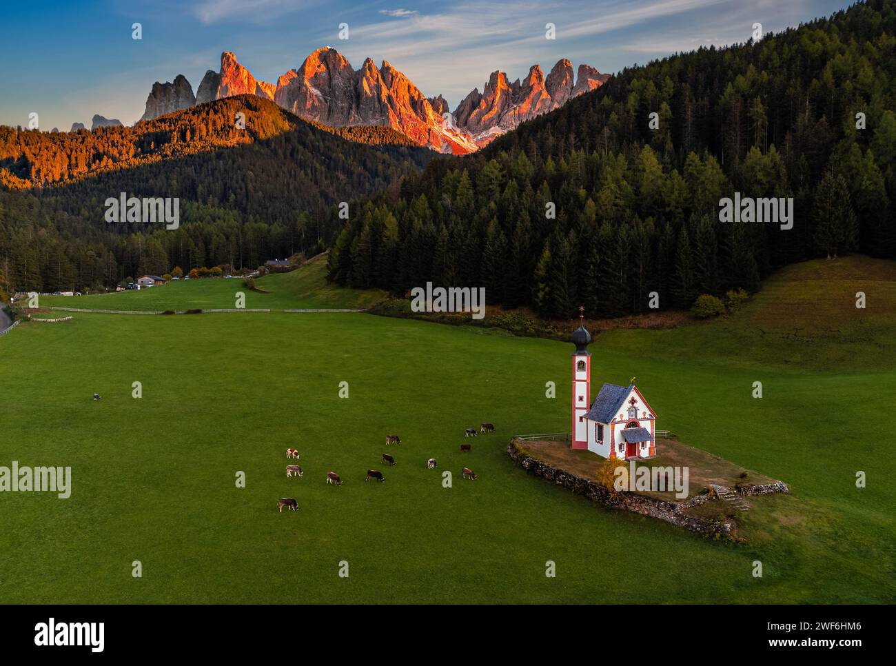 Val Di Funes, Dolomiten, Italien - aus der Vogelperspektive auf die wunderschöne St. Die Johann-Kirche (Chiesetta di San Giovanni in Ranui) in Südtirol mit Kühen und den Kühen Stockfoto