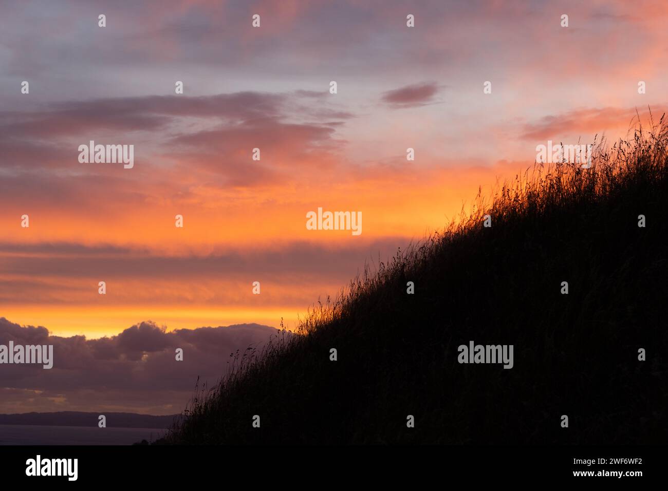 Wunderschöner Sonnenuntergang im Cornwall Park Stockfoto