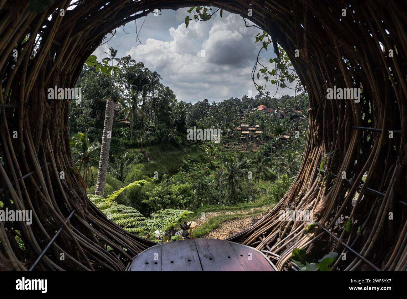 Ein malerischer Blick auf die wunderschöne Landschaft der Reisfelder von Bali Stockfoto