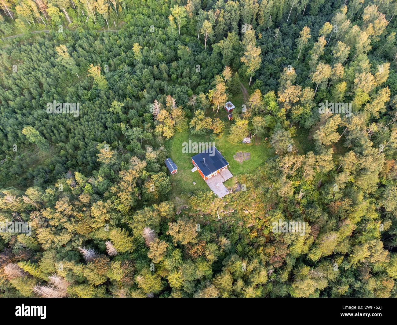 Eine Luftaufnahme herbstlicher Grünflächen und Bäume in Schweden. Stockfoto