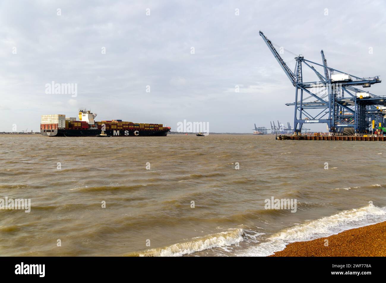 MSC Vita Containerschiff, das im Hafen von Felixstowe, Suffolk, England, Großbritannien ankommt Stockfoto