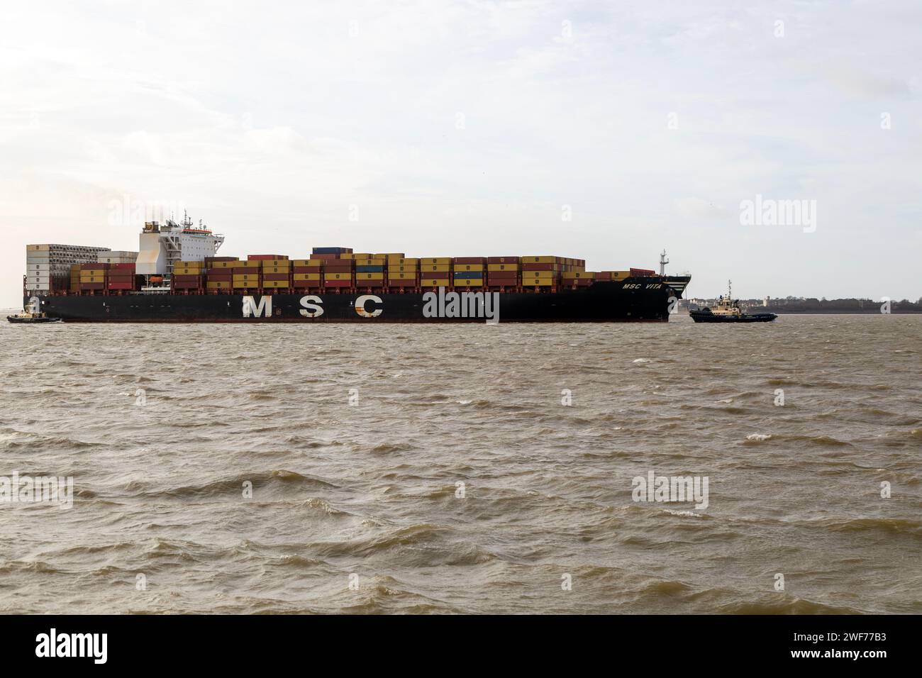 MSC Vita Containerschiff, das im Hafen von Felixstowe, Suffolk, England, Großbritannien ankommt Stockfoto