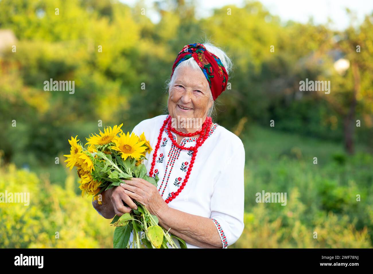 Sonnenblumenstrauß in den Händen einer alten Großmutter in einem gestickten Hemd und roten Perlen. Unabhängigkeitstag der ukraine, Verfassung, fla Stockfoto