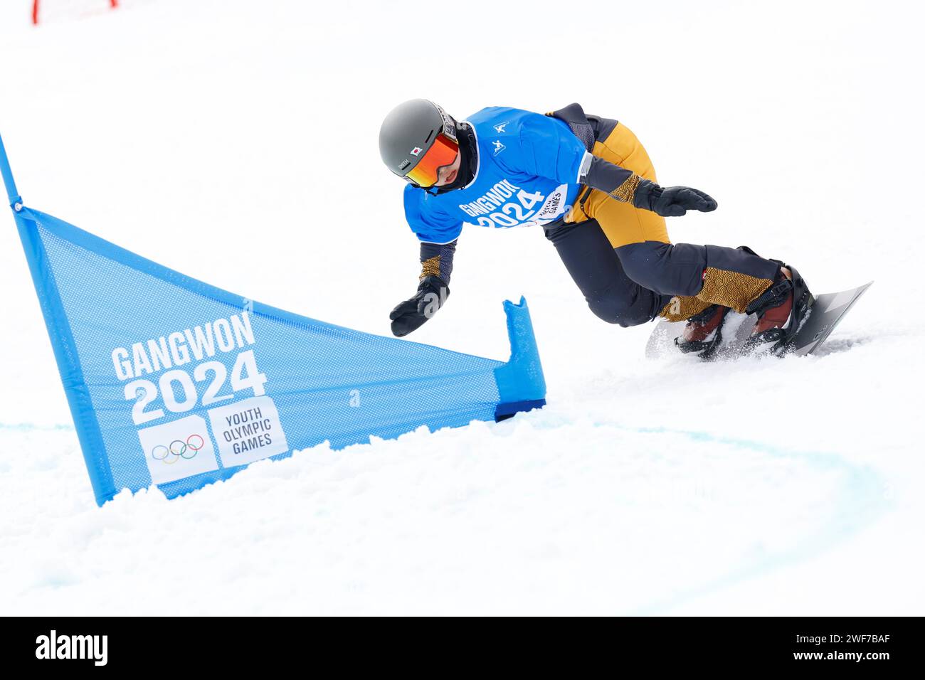 Hoengseong Welli Hilli Park Ski Resort, Hoengseong, Südkorea. Januar 2024. Rio Ishida (JPN), 21. JANUAR 2024 - Snowboarden : Snowboarden: Snowboarden-Cross-Snowboarden während der Olympischen Jugendspiele Gangwon 2024 im Hoengseong Welli Hilli Park Ski Resort, Hoengseong, Südkorea. Quelle: AFLO SPORT/Alamy Live News Stockfoto