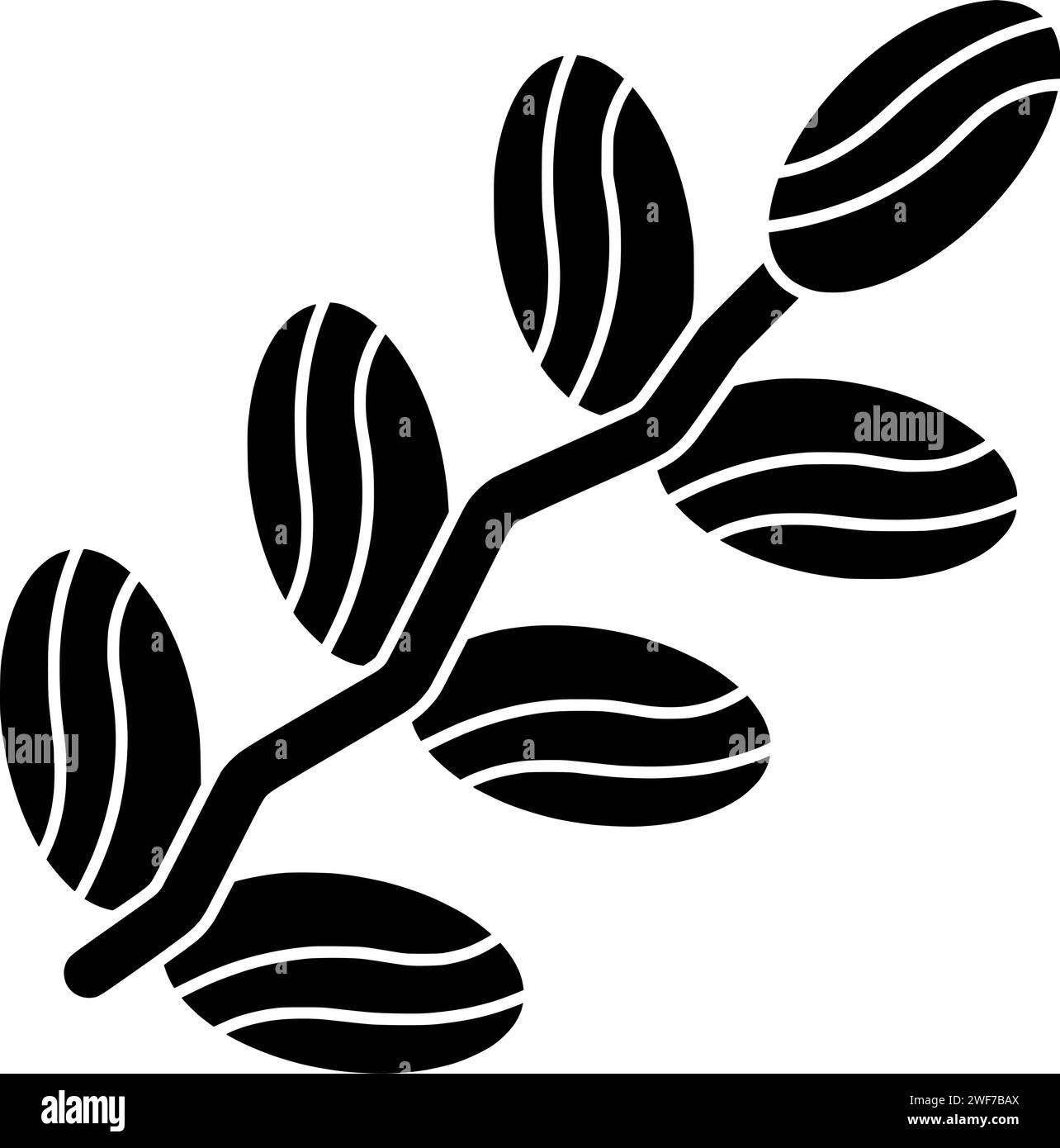 Medjool Illustration Frucht Silhouette Lebensmittel Logo Palme Icon Datum Umriss süß braun tropisch gesunde Ernte köstlich trocken natürliche Heap Form Snack grün Bio Stock Vektor