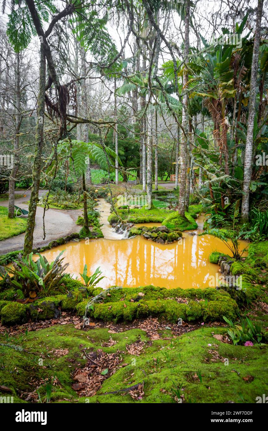 Terra Nostra Park auf der Insel São Miguel auf den Azoren Stockfoto