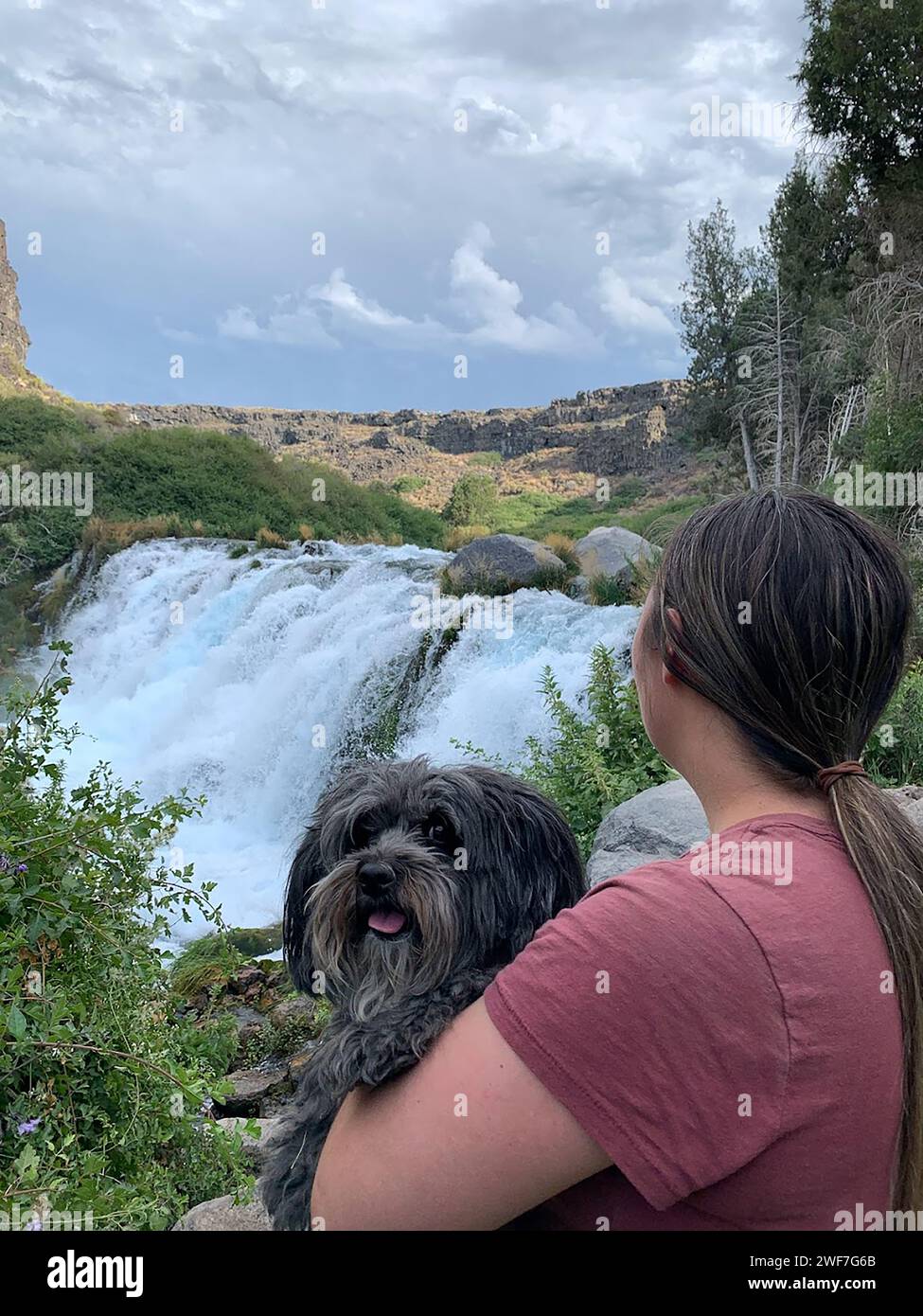 Wanderer- und Hundeblick Wasserfall im Box Canyon Stockfoto